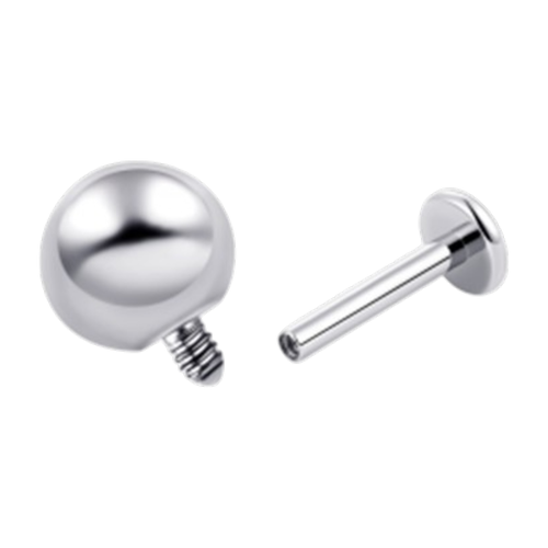 image (7).png
