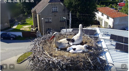 MWSnap681.jpg
