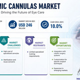 httpswww.24lifesciences.com 2026 06 18T131304.174