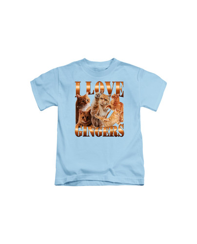 d79 i love gingers cat+Light blue.jpg