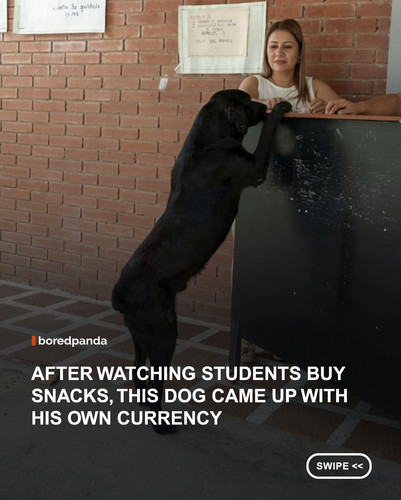swipe to read (1).jpg