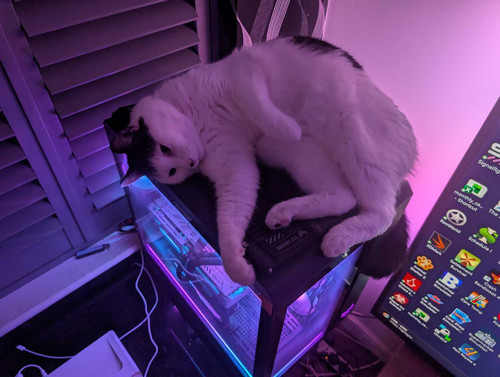 Cxqmt2e.md.jpg