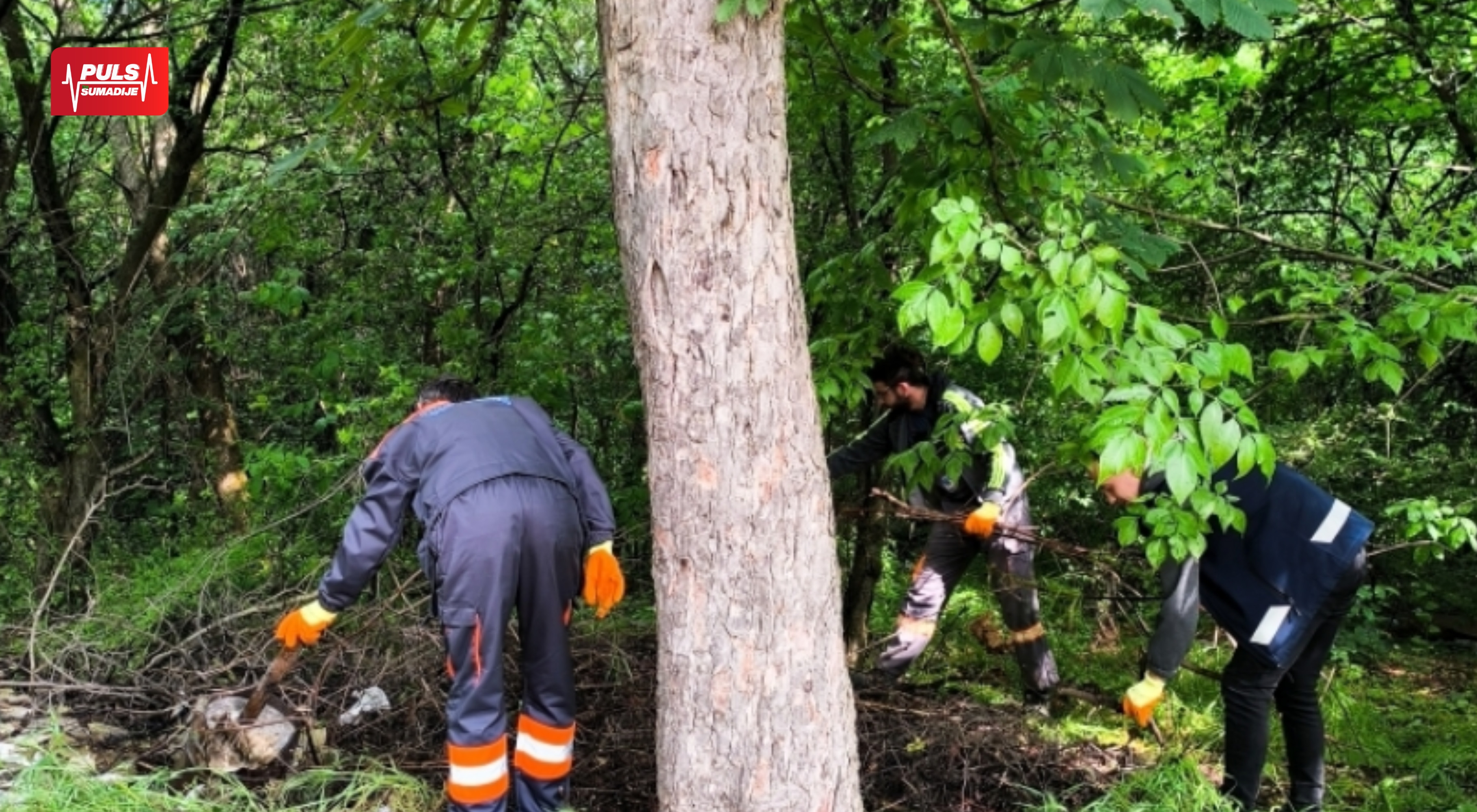 Intenzivni radovi na komunalnoj infrastrukturi i javnoj higijeni u Kragujevcu
