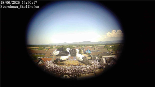 MWSnap121.jpg