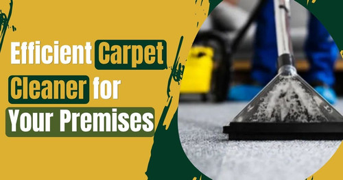 Picking Up an Efficient Carpet Cleaner for Your Premises.jpg