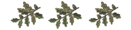 leaves banner.png
