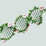 10 genetics