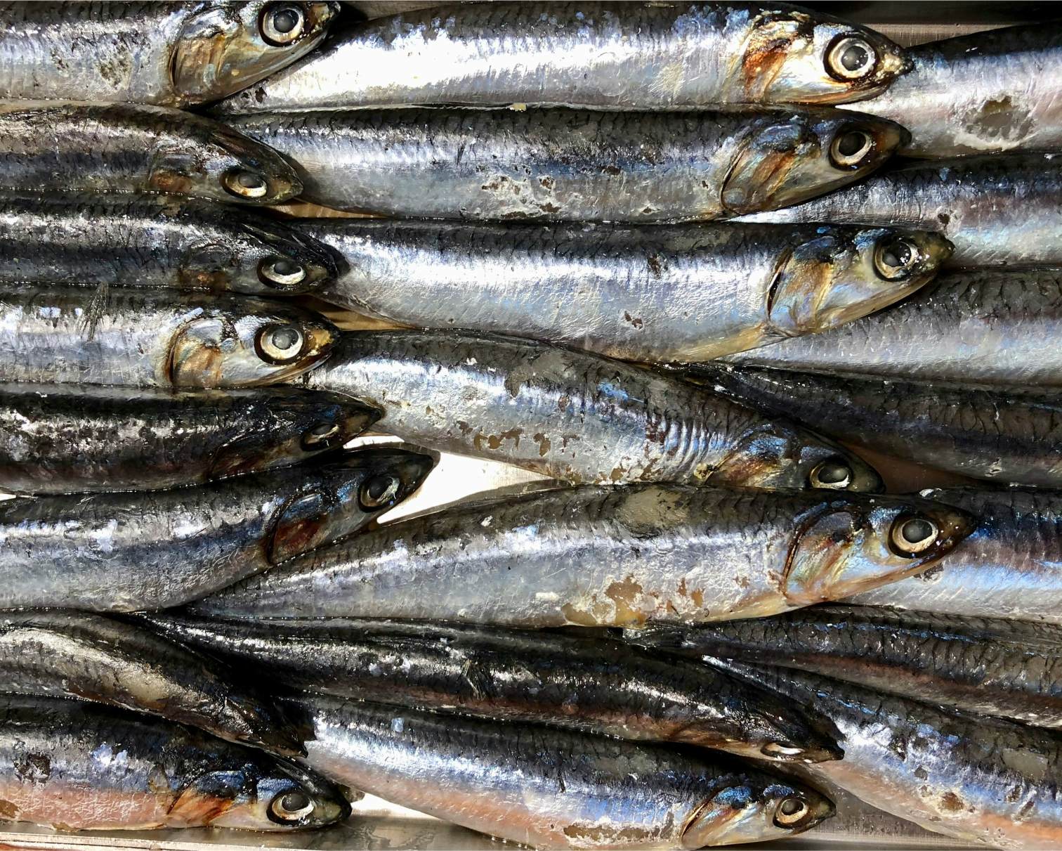 The Good Fats: Embracing Omega-3s and Unsaturated Fats