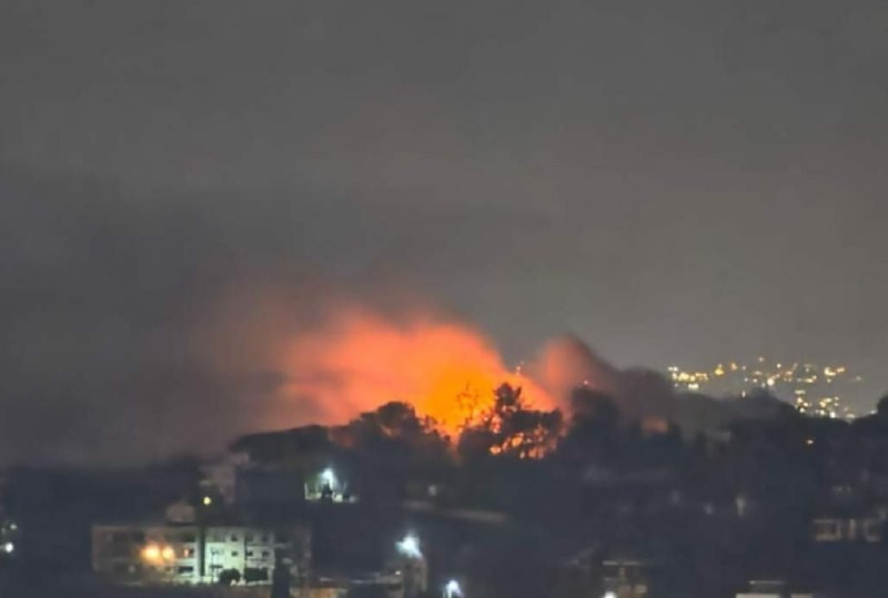 صورة الخبر