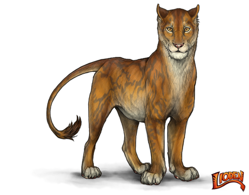 lioden wardrobe (1).png
