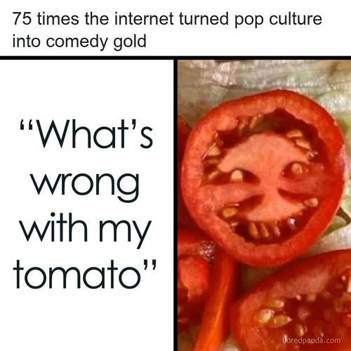 pop culture memes.jpg