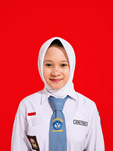 SEFINA FITRIANI XI.E.png