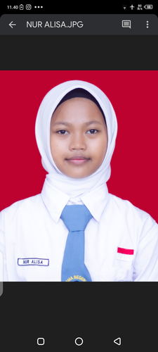 Nur alisa XI.D.png