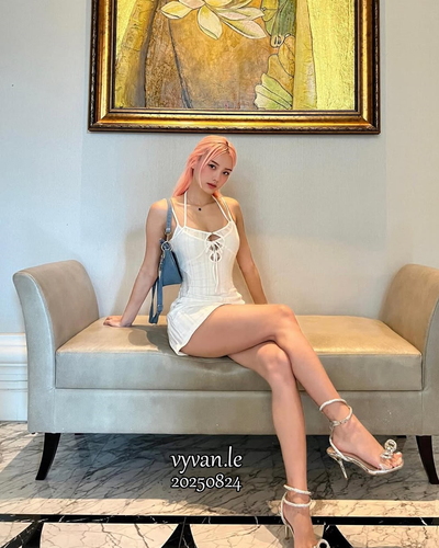 vyvan.le 6.png