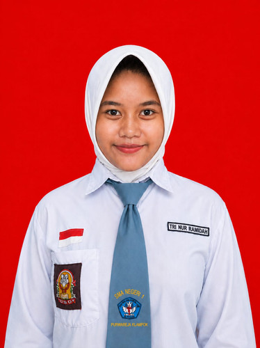 TRI NUR RAMIDAH X.E(1).jpg