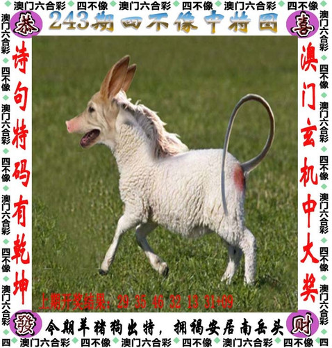 image.jpg