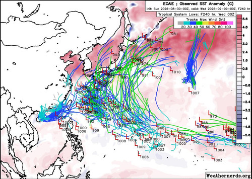 2026083000 ECAIE(AIFS) 240 1