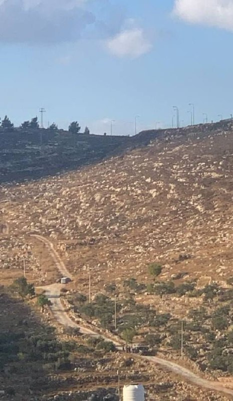 صورة الخبر