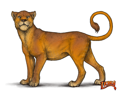 lioden wardrobe (1).png