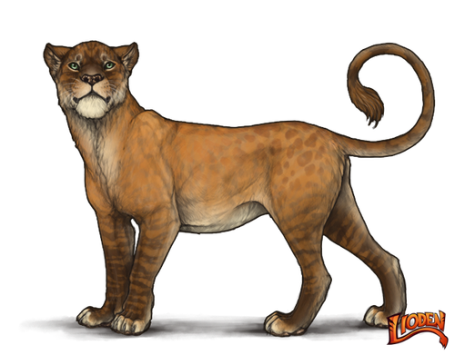 lioden wardrobe (2).png