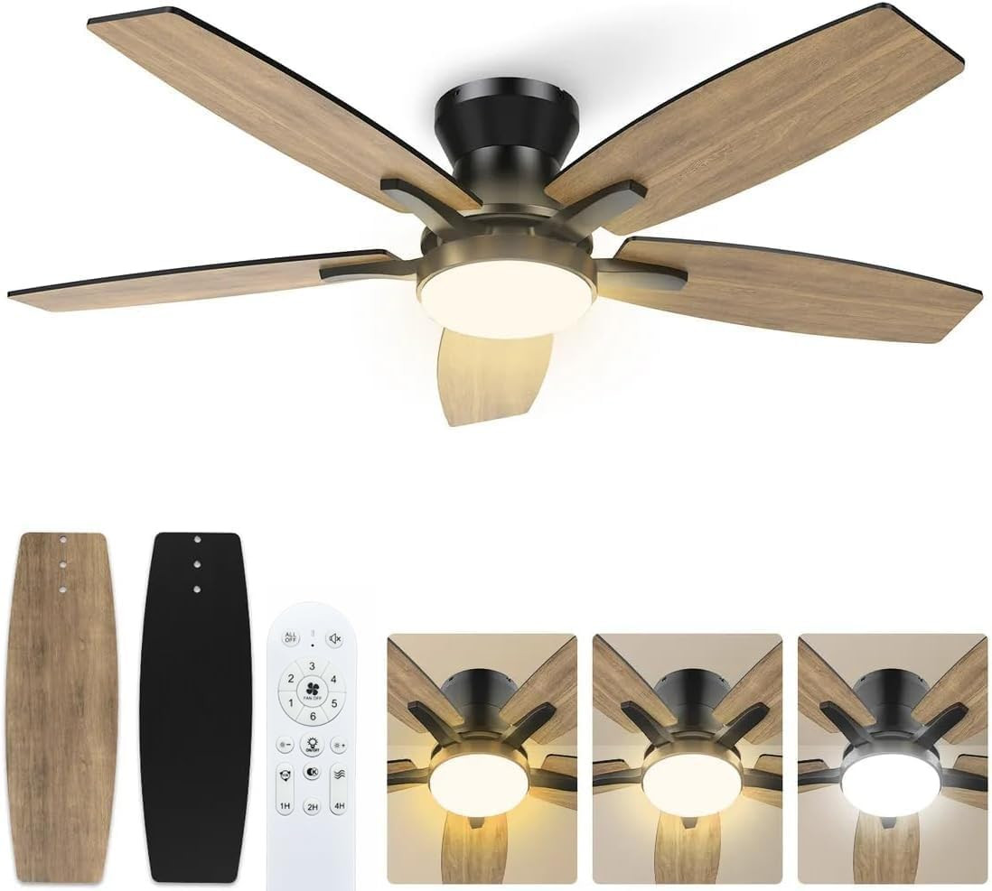 Ventilador de techo