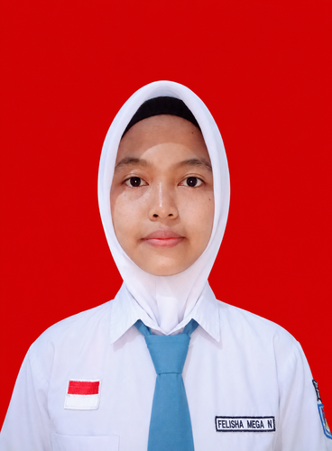 FELISHA MEGA NOVIANTI X.A.png