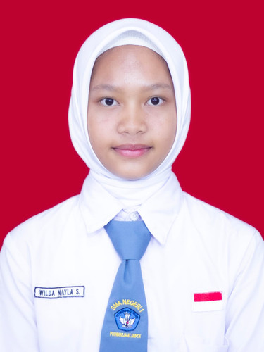 Wilda Nayla Sari XI.G.jpg