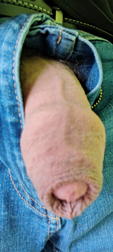 IMG 20260419 113622.jpg