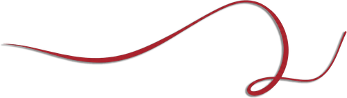 555.png