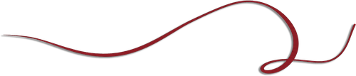 555.png