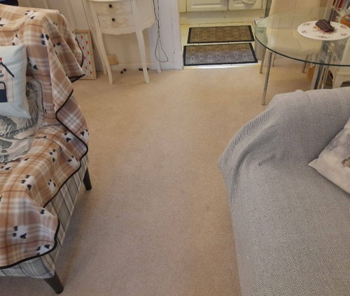 Best Service For Deep Cleaning in Moordown.jpg