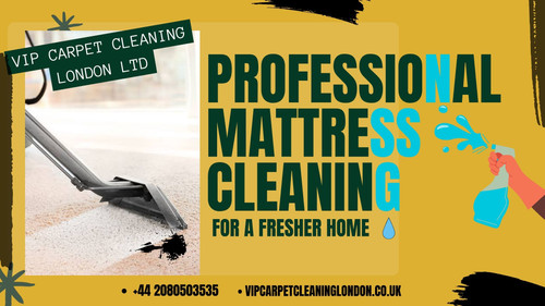 Professional Mattress Cleaning for a Fresher Home.jpg