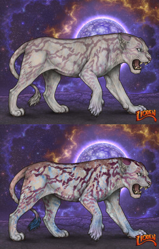 31732.jpg