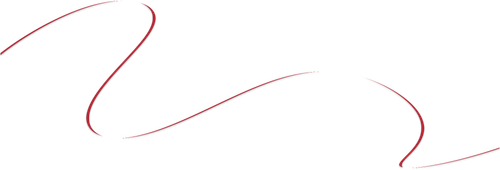 555.png