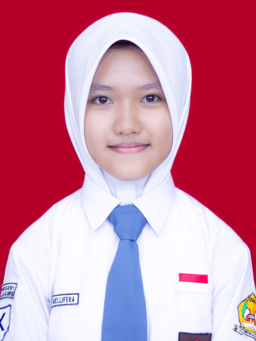 Adinda Mellifera XI.K.jpg