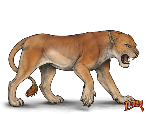 lioden wardrobe (3).png