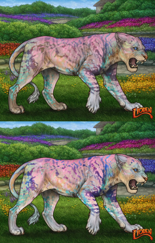 31711.jpg
