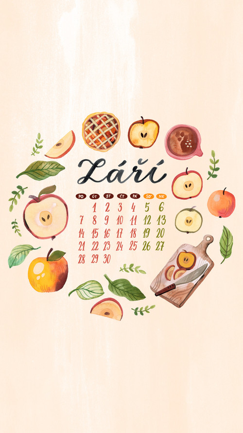 zari stories2