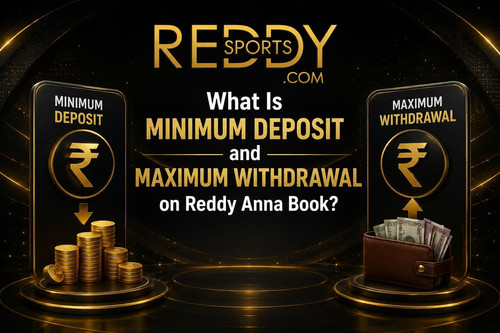 What Is Minimum Deposit and Maximum Withdrawal on Reddy Anna Book.jpg