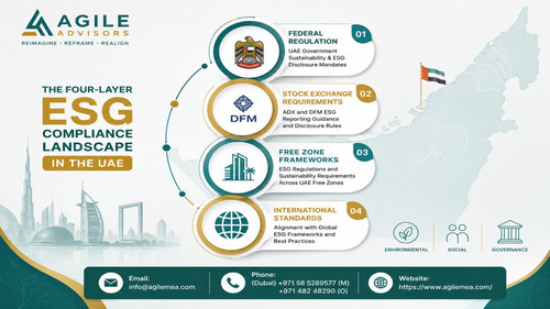 ESG and sustainability reporting.jpg