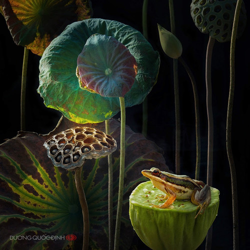 Duong Quoc Dinh Tutt'Art@ (80).jpg
