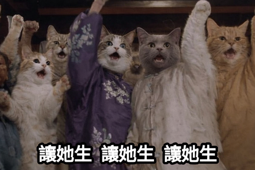 914855d10271.png