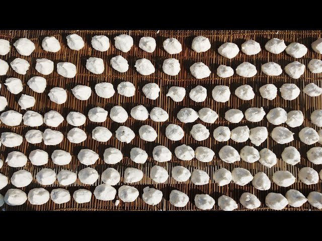 ঐতিহ্যের স্বাদ ও বাণিজ্যিক সাফল্য: বিশ্ববাজারে সমাদৃত হচ্ছে চাঁপাইনবাবগঞ্জের বিখ্যাত কুমড়ো বড়ি