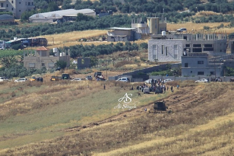 صورة الخبر
