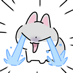 mmexport1780416028722.gif