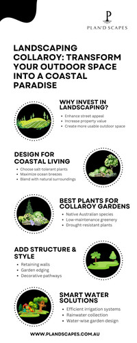Landscaping collaroy (2).jpg