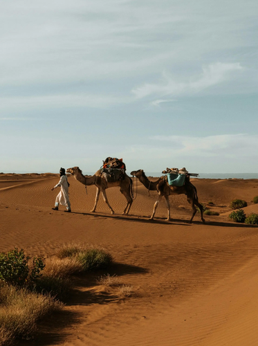 Morocco Travel.png