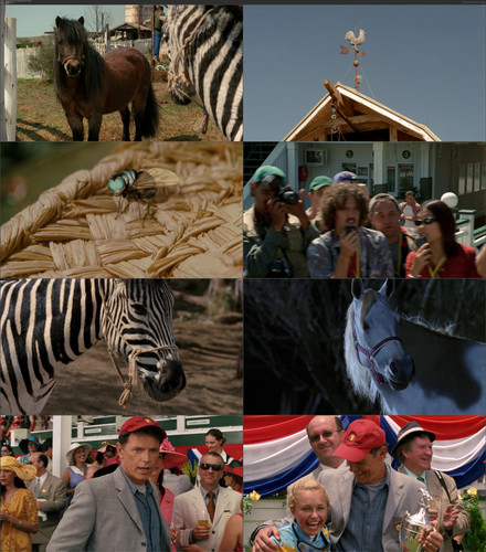 Racing.Stripes.2005.German.AC3D.1080p.AMZN.WEB DL.H.264 bobbel.mkv.jpg