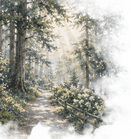 park.png