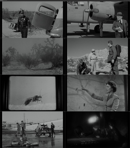 Them.1954.German.DTSD.1080p.UHD2BD.x264 bobbel.mkv.jpg